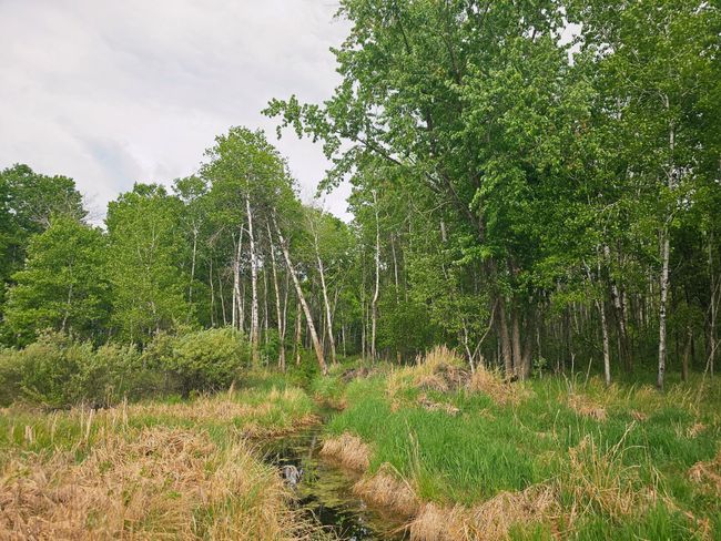2nd view of creek | Image 61