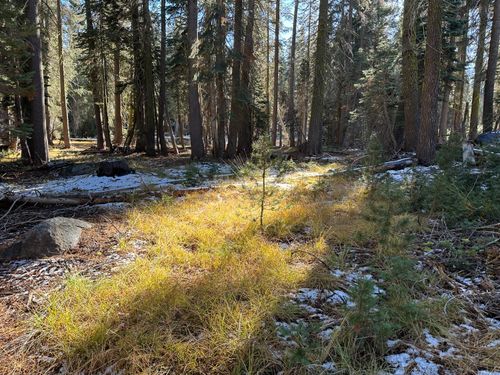 550 Cabbage Patch Log Rd, Arnold, CA, 95223 | Card Image