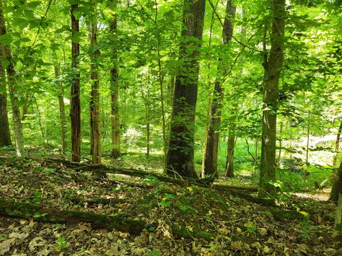 0 Indian Creek Rd, Dover, TN, 37058 | Card Image