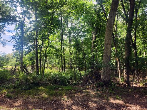 Lot 679 Rollingwood Pl, Varna, IL, 61375-9545 | Card Image