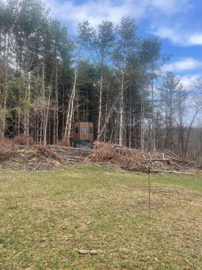0 Don Wiley Rd, Home with 0 bedrooms, 0 bathrooms and null parking in Caldwell OH | Image 26
