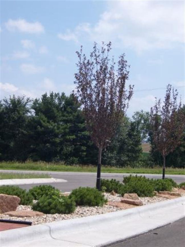 L119 Naomi Trail, Home with 0 bedrooms, 0 bathrooms and null parking in Windsor WI | Image 9
