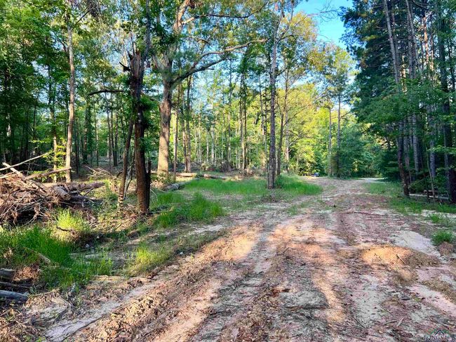 2735 Brandy Rd, Home with 0 bedrooms, 0 bathrooms and null parking in New Diana TX | Image 9