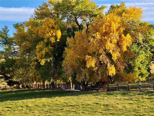 Surrounding community with fence and a lawn | Image 31