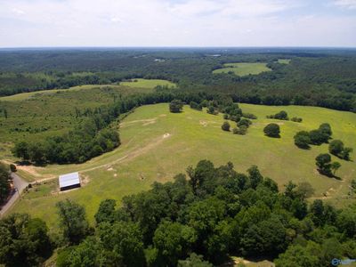 120.5 Acres County Road 974, Home with 0 bedrooms, 0 bathrooms and null parking in Logan AL | Image 3