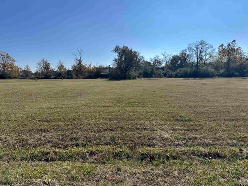 0000 High Meadow Dr, Mount Vernon, TX, 75457 | Card Image