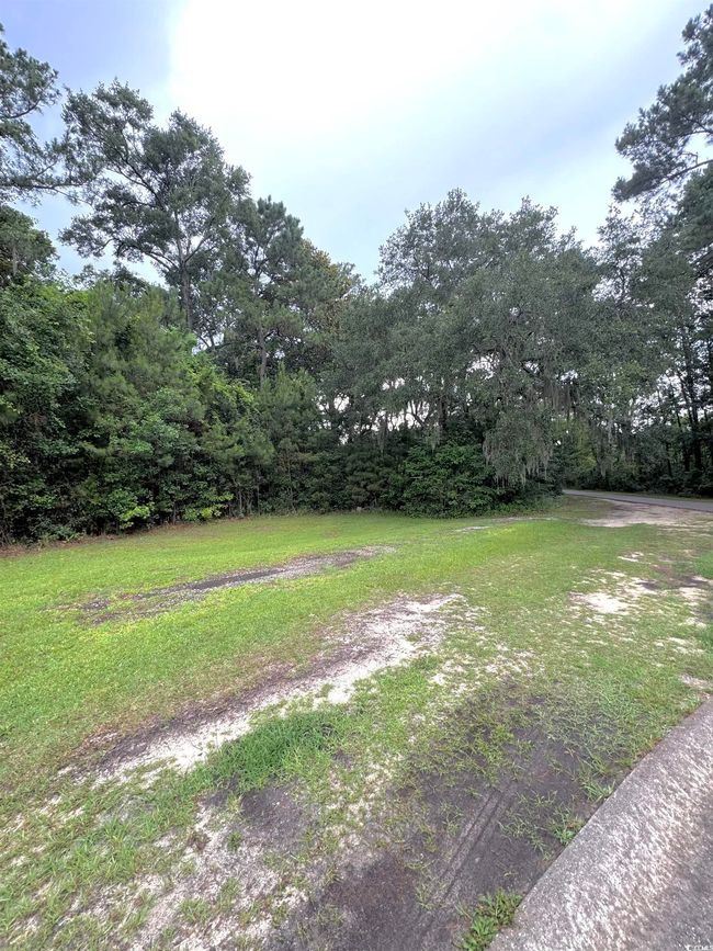 View of yard with a forest view | Image 4