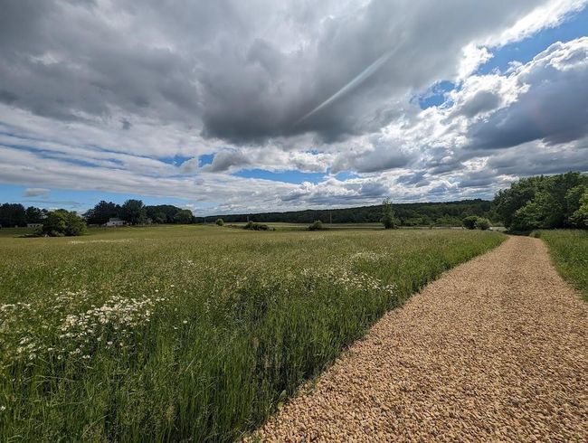 Meadow and field drive | Image 16