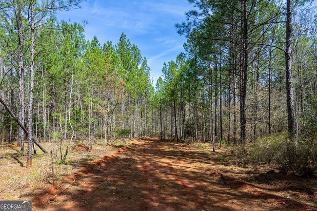 TRACT-1 - 0 Shake Rag Rd, Home with 0 bedrooms, 0 bathrooms and null parking in Pine Mountain GA | Image 10