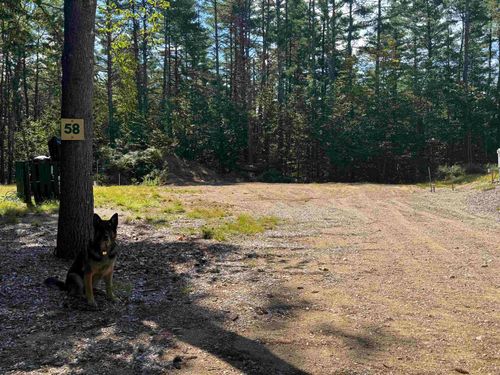 58 Wiggin Ln, Tamworth, NH, 03886 | Card Image