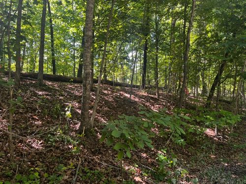 Lot 12 Block 8 Riding Lane, Bella Vista, AR, 72714 | Card Image
