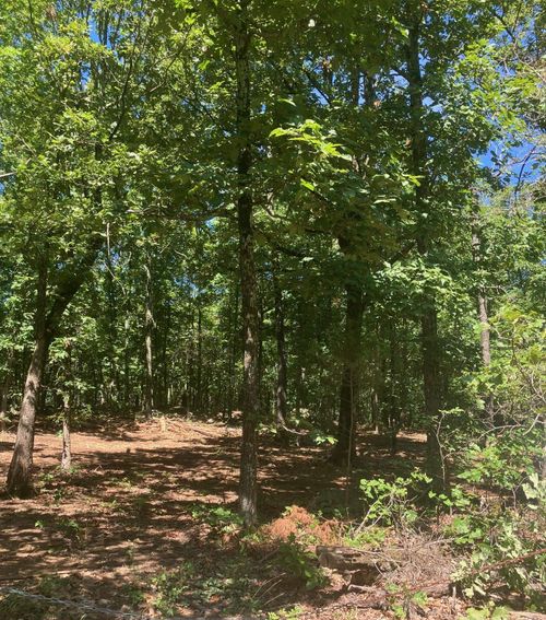 605 Lone Oak Rd, Williford, AR, 72482 | Card Image