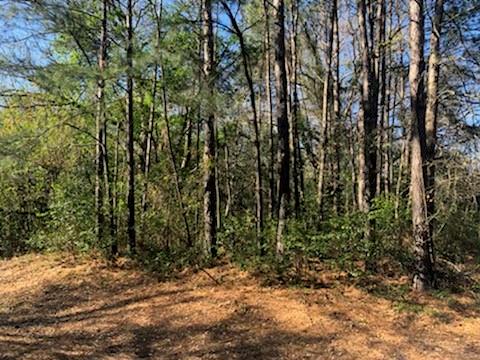 Land in Hemphill 2