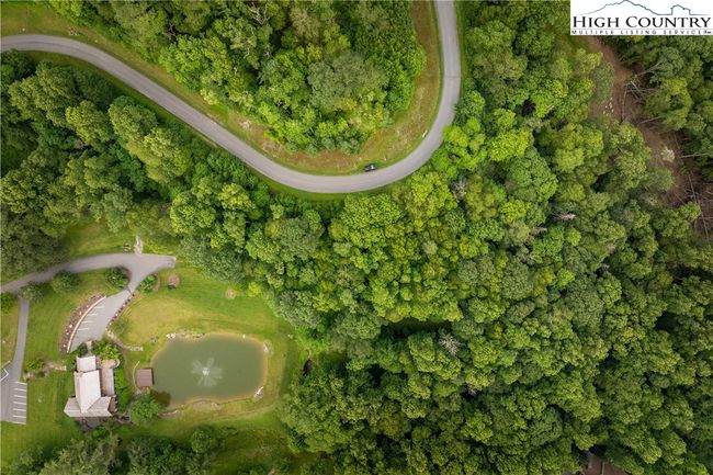 Lot 215 | Image 5
