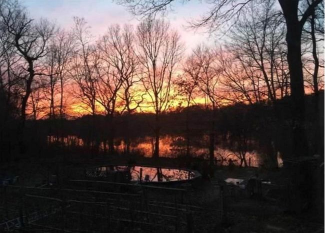 View of nature at dusk | Image 30