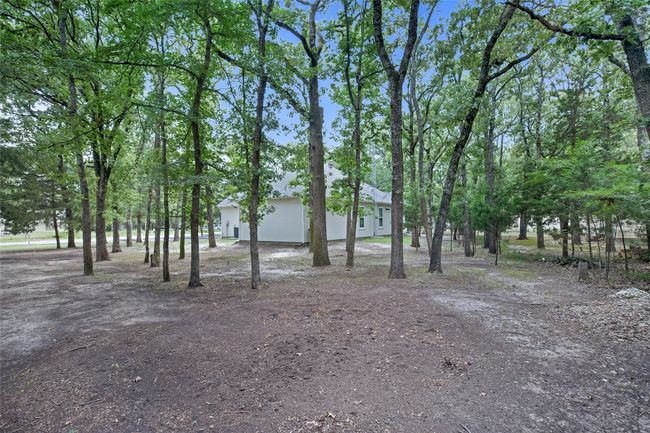 View of yard | Image 30