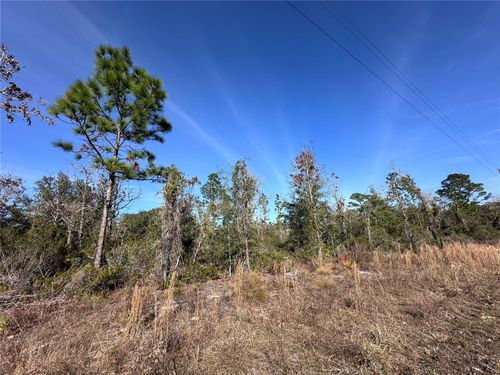 tbd Ne 117th Ter, WILLISTON, FL, 32696 | Card Image