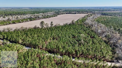 12 AC Owens Road, Odum, GA, 31555 | Card Image