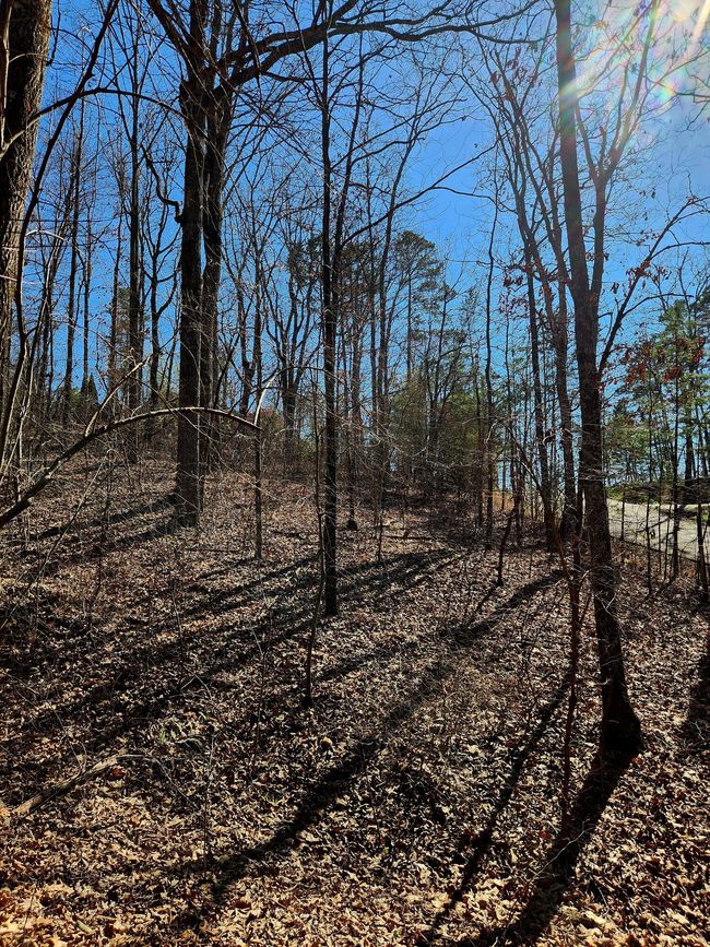 0 N Woods Ln, Home with 0 bedrooms, 0 bathrooms and null parking in Trenton GA | Image 11