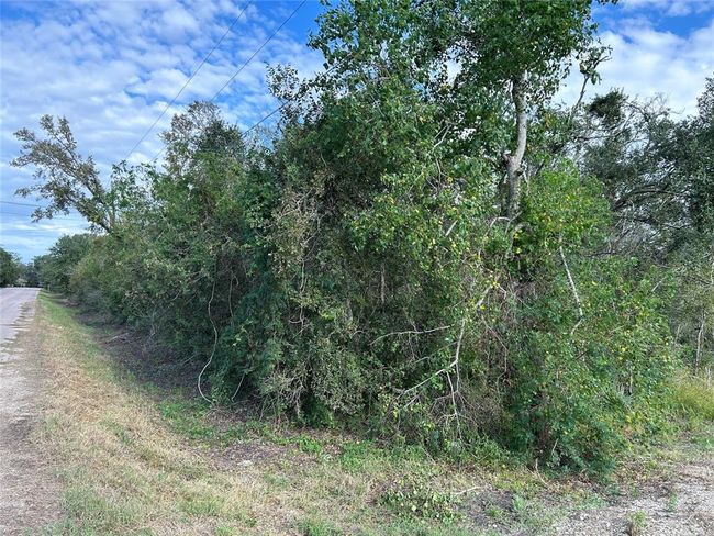 00 N Belt St, Home with 0 bedrooms, 0 bathrooms and null parking in Brazoria TX | Image 5