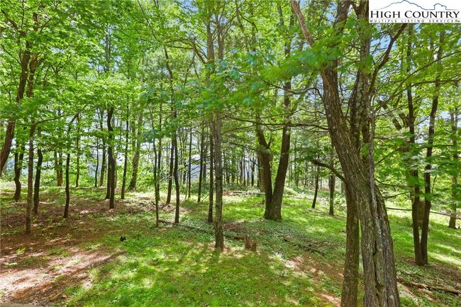 151 Cascade Dr, House other with 1 bedrooms, 1 bathrooms and null parking in Purlear NC | Image 27