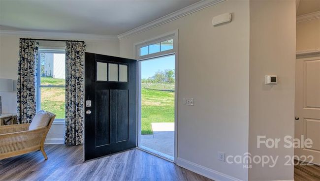 Entry | Image 4