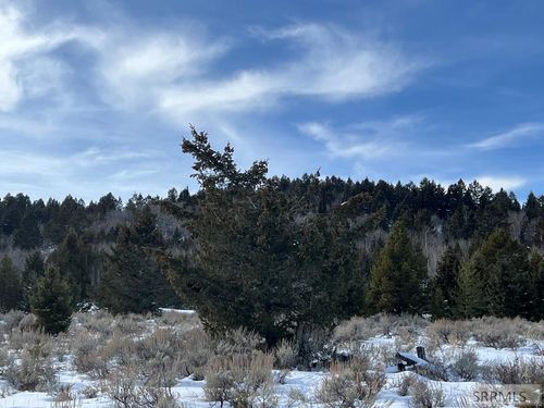 3080 Grandview Dr, Tetonia, ID, 83452 | Card Image