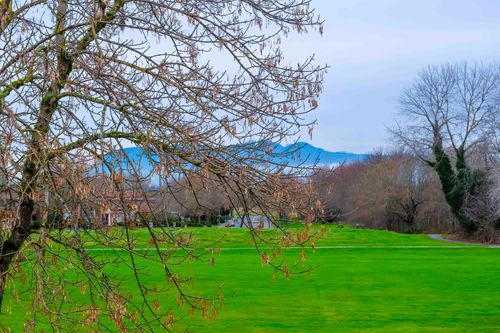 {{alt}} | Card Image