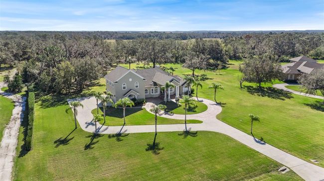 11518 Hammock Oaks Ct, House other with 4 bedrooms, 6 bathrooms and null parking in LITHIA FL | Image 59
