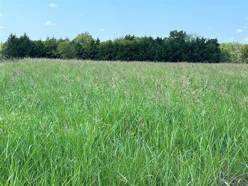 1121 County Road 3715, Gober, TX, 75443 | Card Image