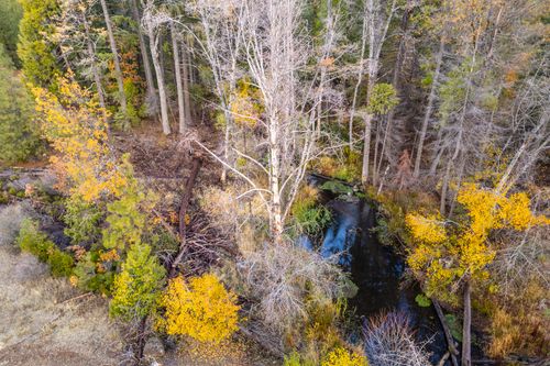 8 Princess Pine Place, Shingletown, CA, 96088 | Card Image