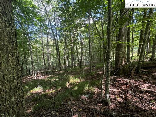 217 Sawmill Branch Rd, Beech Mountain, NC, 28604-8180 | Card Image