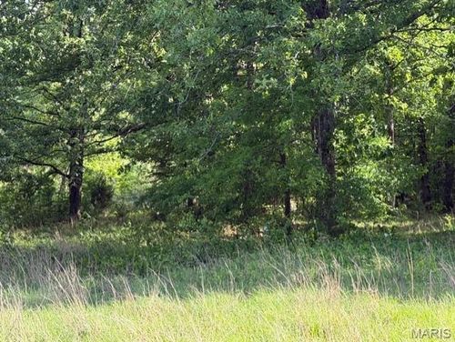 00 Rainbow Ln, Poplar Bluff, MO, 63901 | Card Image