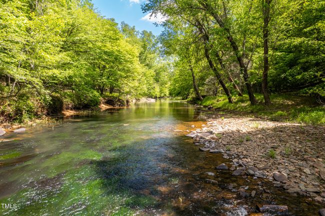 Little River View 04 | Image 51