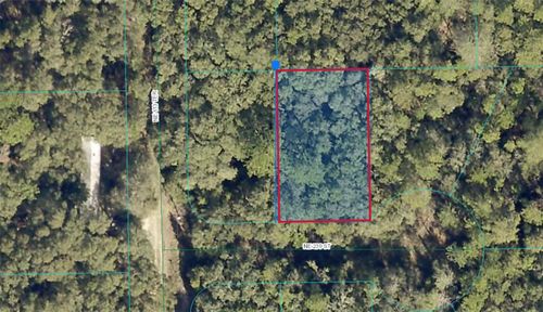 00 Ne 239th St, FORT MC COY, FL, 32134 | Card Image