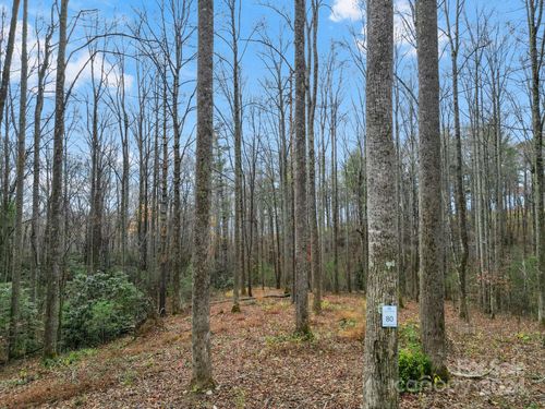 LOT 80 Mountain Grove Lane, Fletcher, NC, 28732 | Card Image