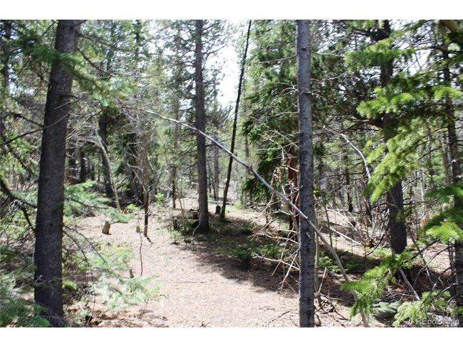 435 Aspen Rd, Home with 0 bedrooms, 0 bathrooms and null parking in Black Hawk CO | Image 18