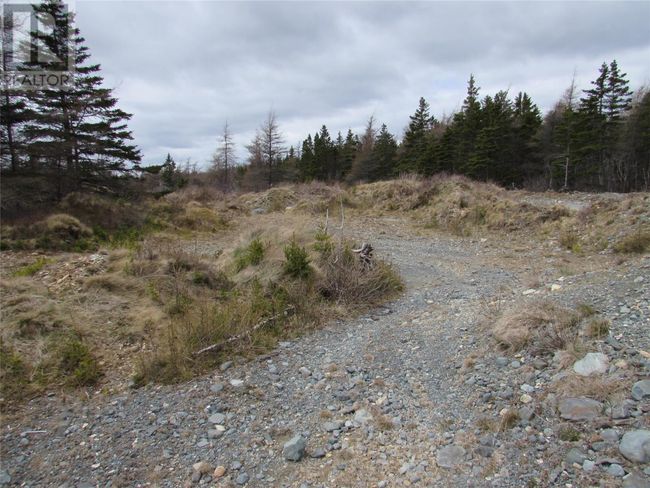 45 New Line Road, Home with 0 bedrooms, 0 bathrooms and null parking in Colliers NL | Image 41