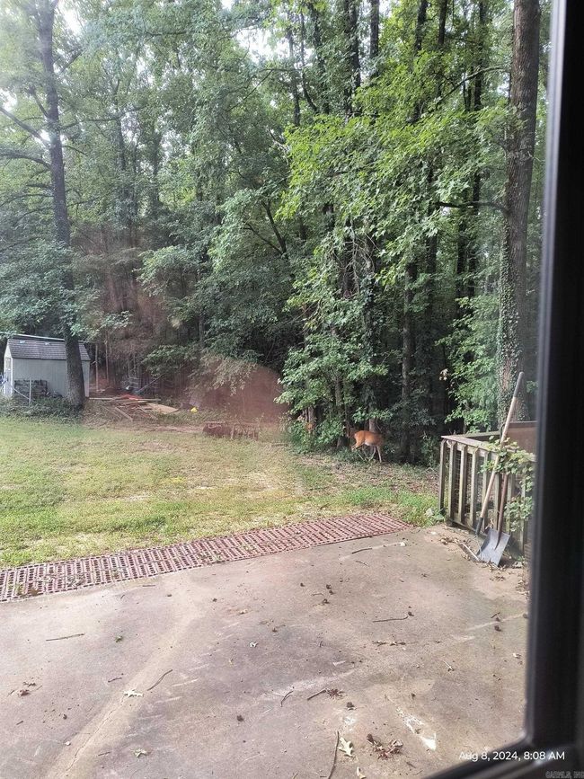 816 Sfc 309, House other with 2 bedrooms, 1 bathrooms and null parking in Forrest City AR | Image 7