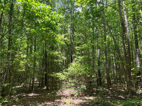 00 Sc Highway 39, Chappells, SC, 29037 | Card Image