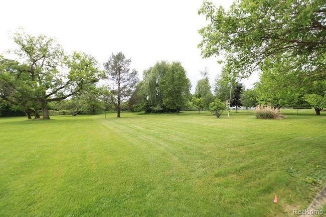 BACK VIEW.JPG | Image 15