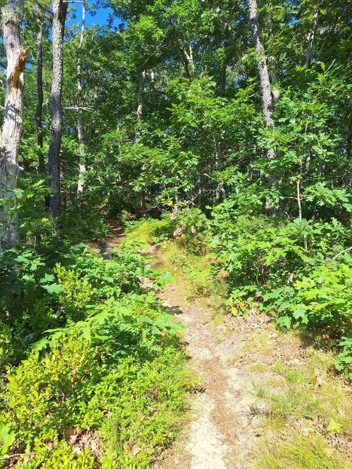 49 Oak Valley Rd, Wellfleet, MA, 02667-7767 | Card Image