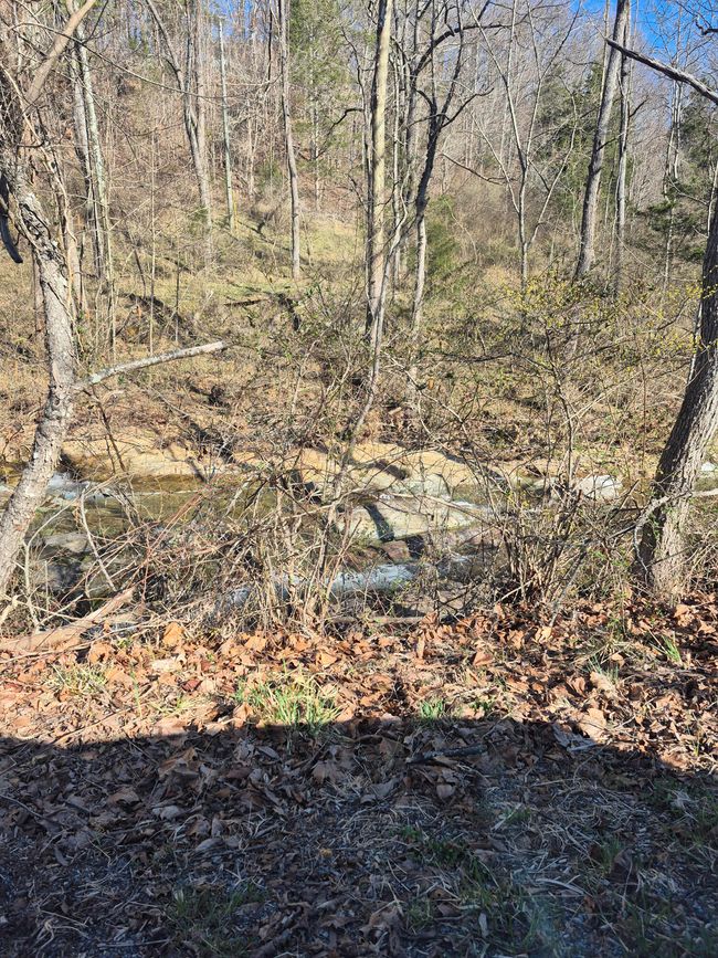 4 | Image 4