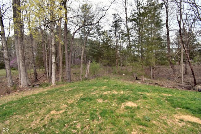 View of yard to the left of the home. It also has electric and water. | Image 53