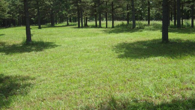 00 Morgan Rd, Home with 0 bedrooms, 0 bathrooms and null parking in Rose Bud AR | Image 16
