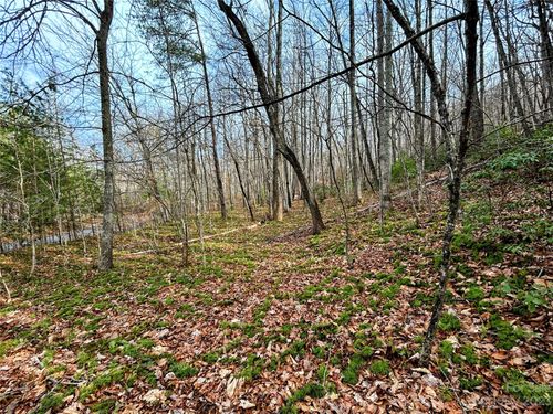 Lot 7 Azalea Way, Saluda, NC, 28773 | Card Image