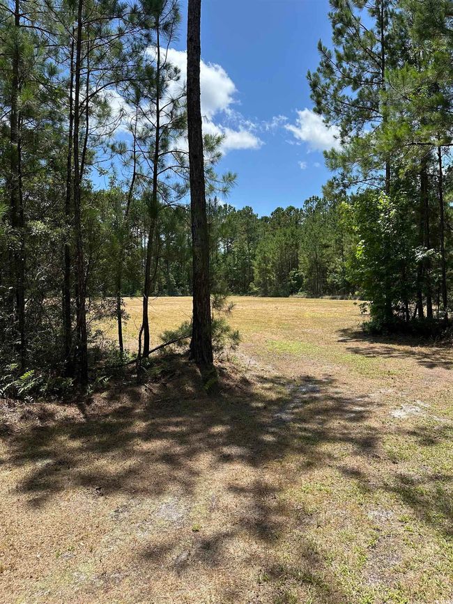218 Samworth Loop, Home with 0 bedrooms, 0 bathrooms and null parking in Georgetown SC | Image 4