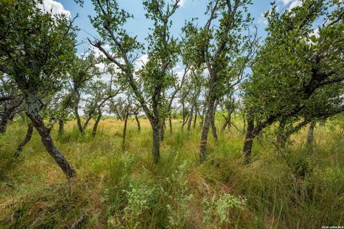 1445 Cave Wells Rd, Fort McKavett, TX, 76841 | Card Image