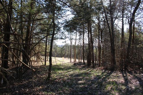 TRACT 2-D County Road 449, Fulton, MO, 65251 | Card Image