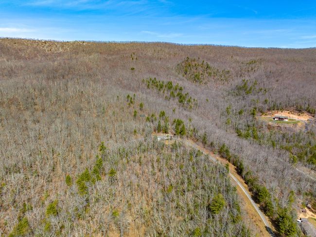 Lot 6 N Sunset Lane, Home with 0 bedrooms, 0 bathrooms and null parking in Bland VA | Image 6